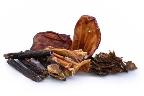 gryzak naturalne gryzaki dla psów