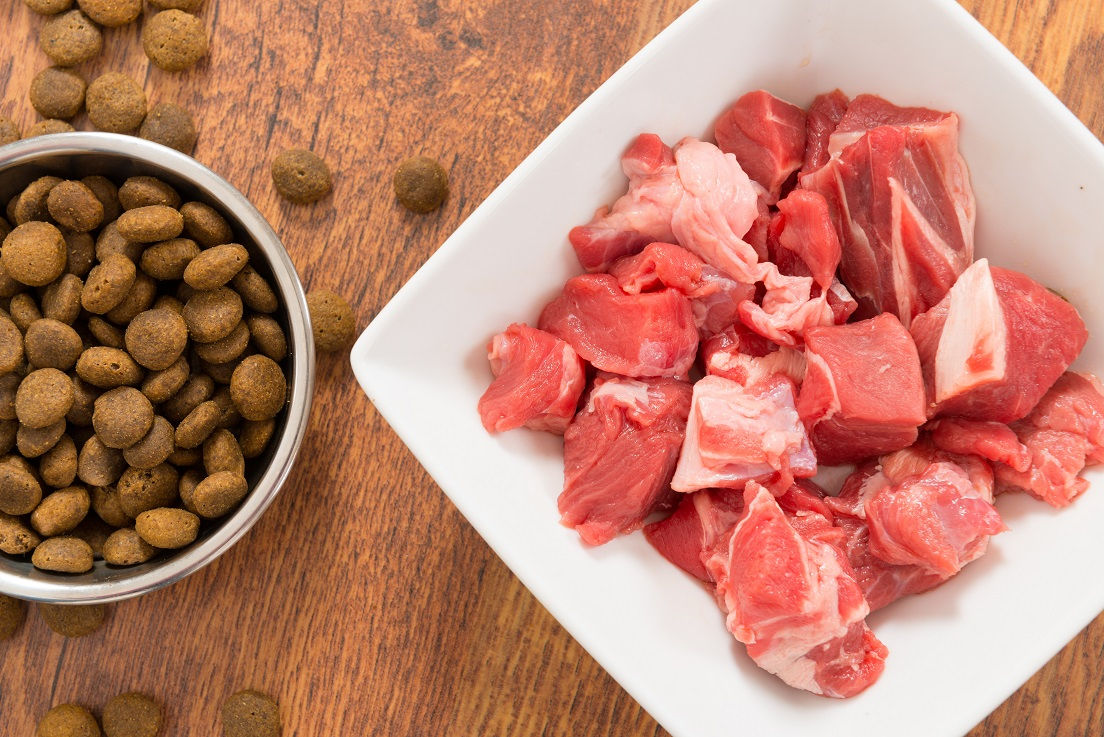 Meat and dry dog's food surowce do karmy dla psów
