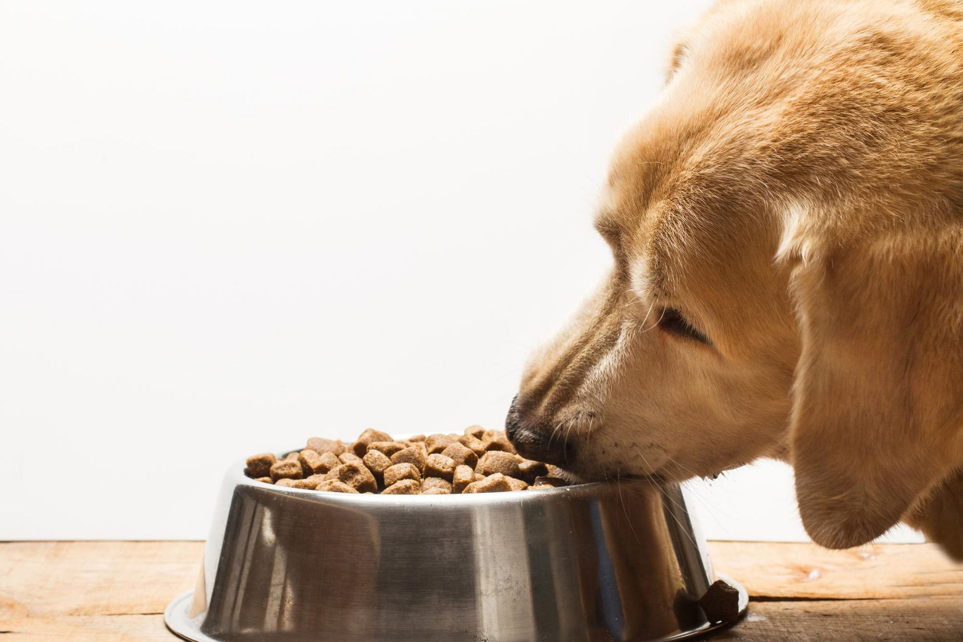 surowce dla pet food baner surowce petfood